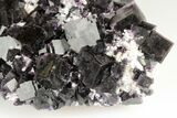 Pristine, Purple Cubic Fluorite Cluster - Okorusu Mine, Namibia #191982-4